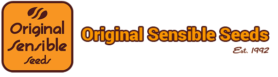 Original Sensible it